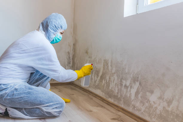 Mold Remediation specialist working in Dimondale